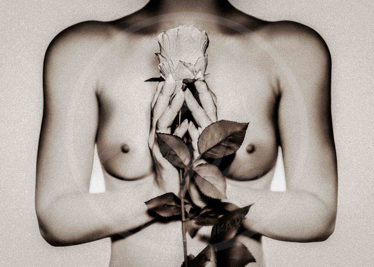 The graceful rose (B&W) | Fotograf Sven Mika | Fotostudio Grevenbroich | Fotomodell Model Silvana