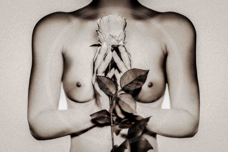 The graceful rose (B&W) | Fotograf Sven Mika | Fotostudio Grevenbroich | Fotomodell Model Silvana
